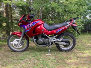 Kawasaki KLE