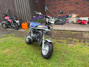 Suzuki PV