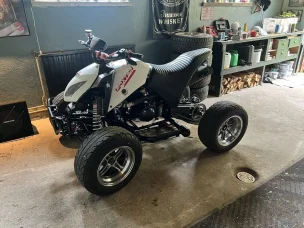 Bashan BS300S
