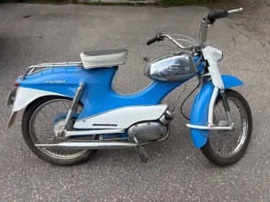 Solifer Export