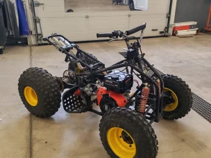 Bashan BS300S