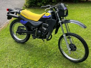 Suzuki TS
