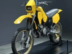Suzuki TS