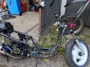 PGO BugRacer