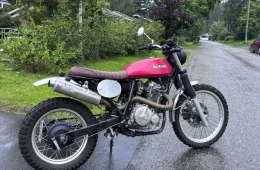 Suzuki DR