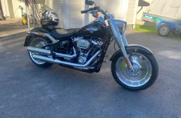 Harley-Davidson Softail