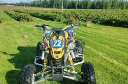 Can-Am DS