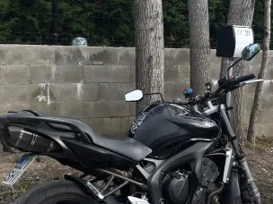 Yamaha FZ6-N