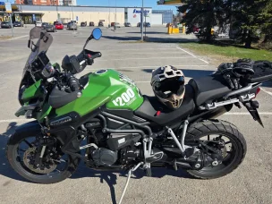 Triumph Tiger