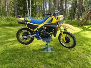 Suzuki DS