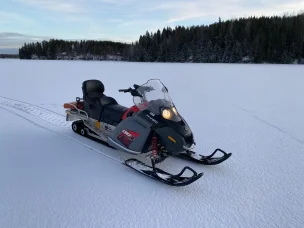 Lynx Ranger