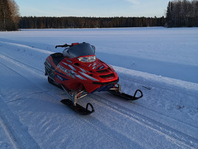 Polaris 600 PRO X