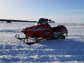 Polaris 600 PRO X