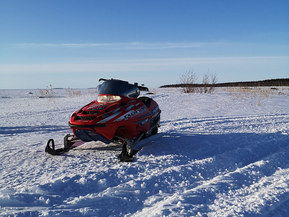 Polaris 600 PRO X