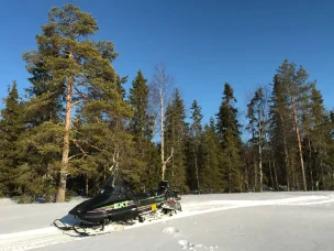 Arctic Cat El Tigre
