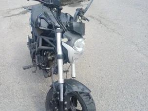 Dynamic Monster