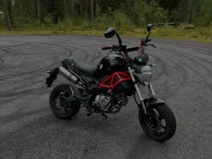 Dynamic Monster