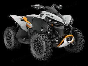 Can-Am renegade