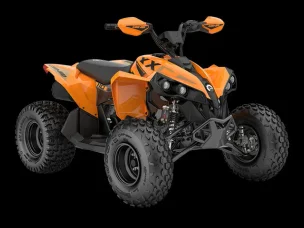Can-Am renegade