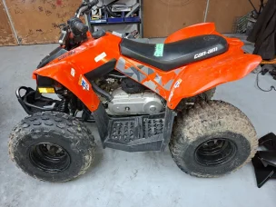 Can-Am DS