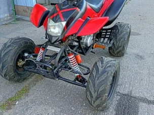 Bashan BS250S-5
