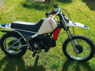 Yamaha PV