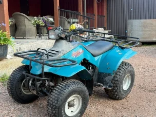 Suzuki Quad Runner