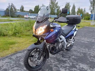 Suzuki DL