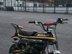 Suzuki PV