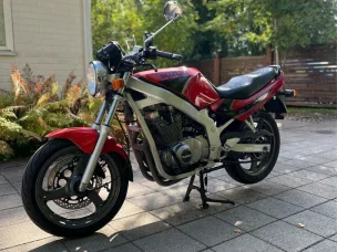 Suzuki GS
