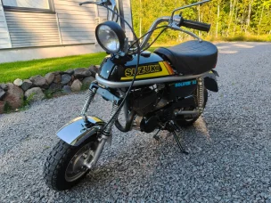 Suzuki PV