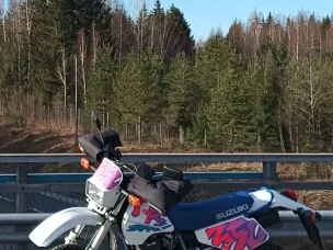 Suzuki DR