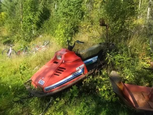 Lynx 650