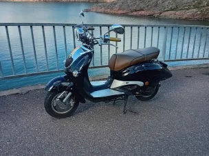Znen Donna