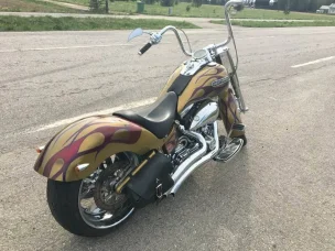 Harley-Davidson Softail