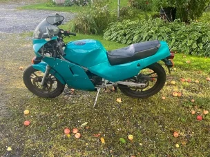 Suzuki RG