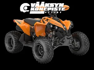 Can-Am renegade