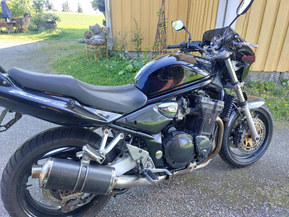 Suzuki GSF