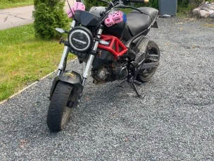 Dynamic Monster