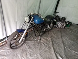 Kawasaki VN