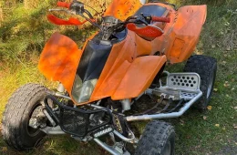 Goes 450