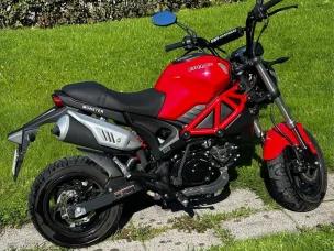 Dynamic Monster
