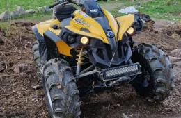 Can-Am renegade
