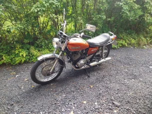 Suzuki T