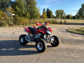 Arctic Cat 400 DVX