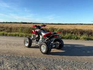 Arctic Cat 400 DVX