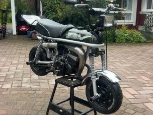 Suzuki PV