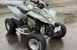 Dinli 450