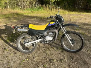 Suzuki TS