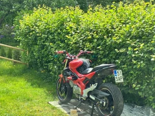 Suzuki SFV 650 Gladius